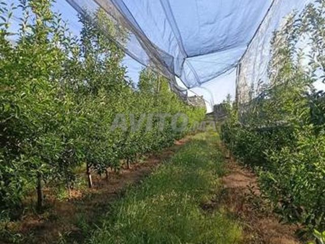 Propriété vente à Ifrane