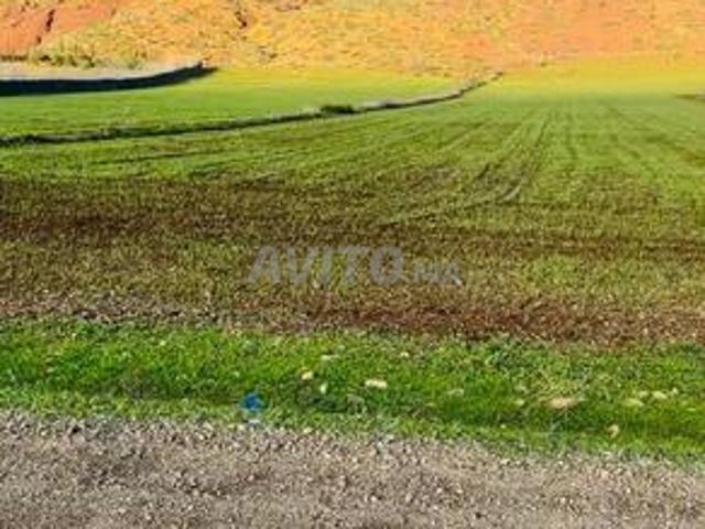 Propriété vente à Lyautey