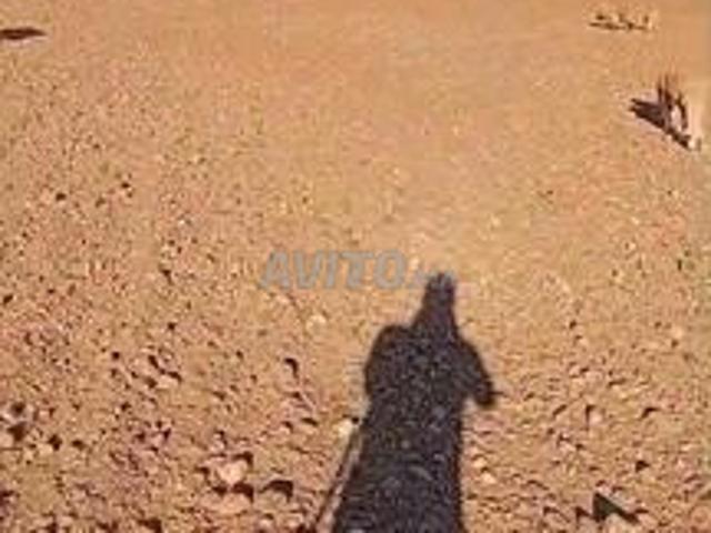 Propriété vente à Ar Rommani