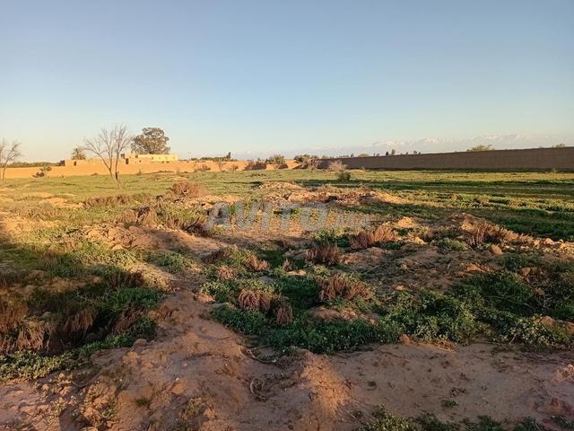 Propriété vente à Agadir, Oued ed Dahab-Lagouira