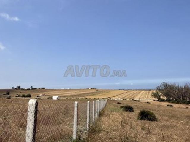 Propriété vente à El Ma, Gharb-Chrarda-Beni Hssen