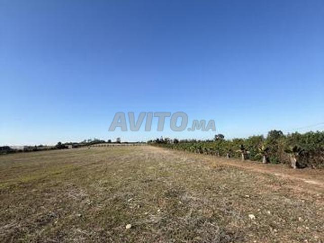 Propriété vente à Bir Jdid ⴱⵉⵔ ⵊⴷⵉⴷ البير الجديد, Province d'El Jadida إقليم الجديدة