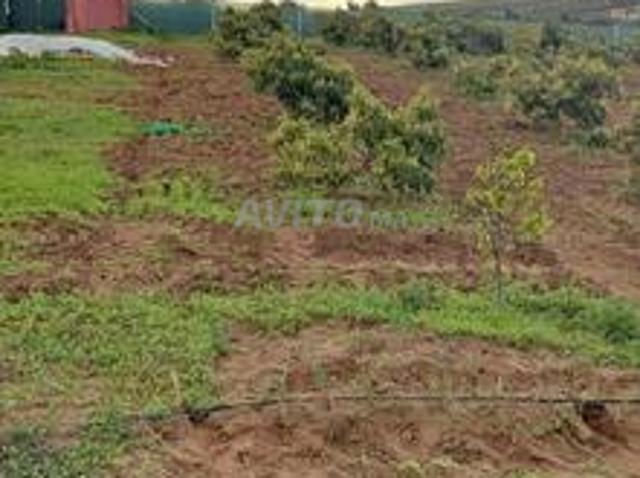 Propriété vente à Sidi Allal El Bahraoui