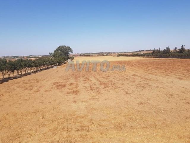 Propriété vente à Gharb-Chrarda-Beni Hssen