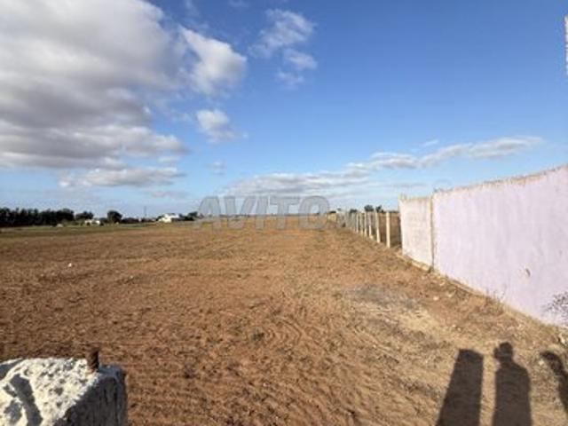 Propriété vente à El Ma, Gharb-Chrarda-Beni Hssen