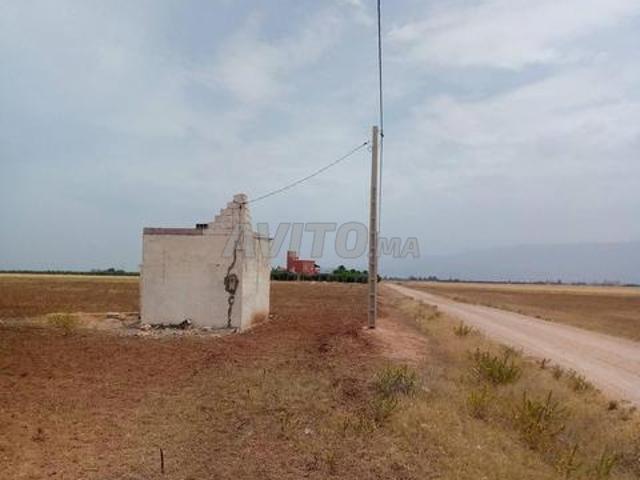 Propriété vente à Mellal