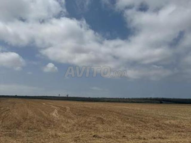 Propriété vente à El Ma, Gharb-Chrarda-Beni Hssen