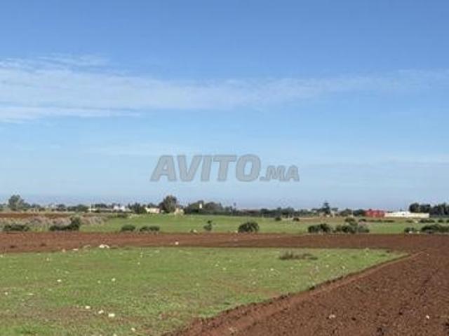 Propriété vente à El Ma, Gharb-Chrarda-Beni Hssen