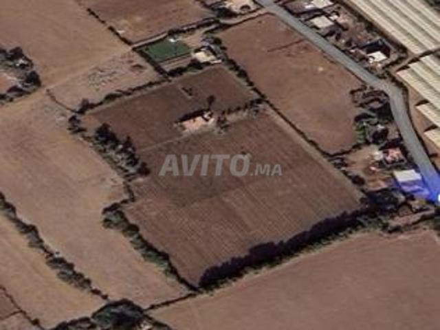 Propriété vente à El Ma, Gharb-Chrarda-Beni Hssen
