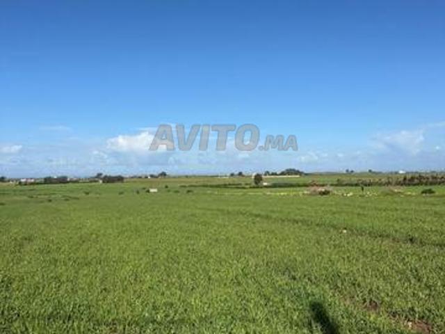 Propriété vente à El Ma, Gharb-Chrarda-Beni Hssen