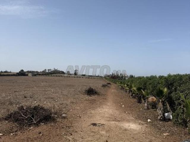 Propriété vente à El Ma, Gharb-Chrarda-Beni Hssen