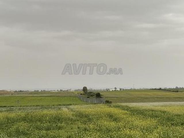 Propriété vente à El Ma, Gharb-Chrarda-Beni Hssen