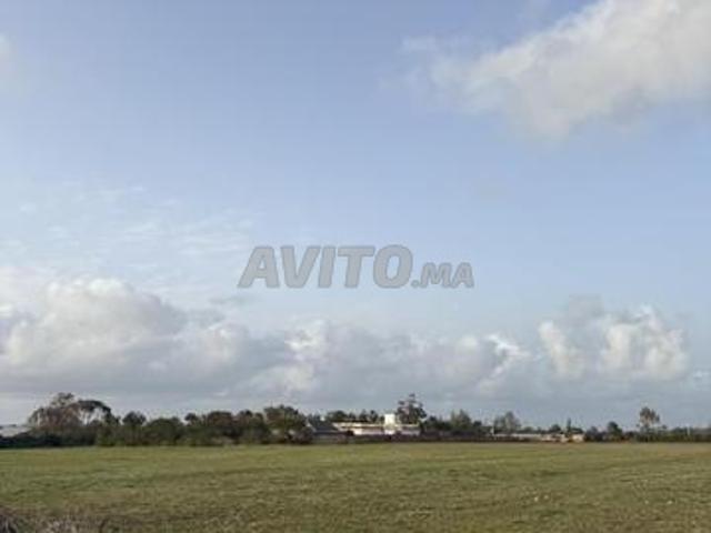 Propriété vente à El Ma, Gharb-Chrarda-Beni Hssen