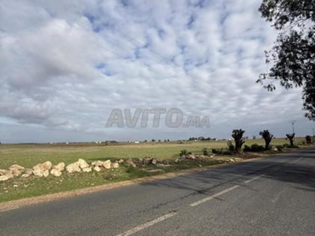 Propriété vente à Bir Jdid ⴱⵉⵔ ⵊⴷⵉⴷ البير الجديد, Province d'El Jadida إقليم الجديدة