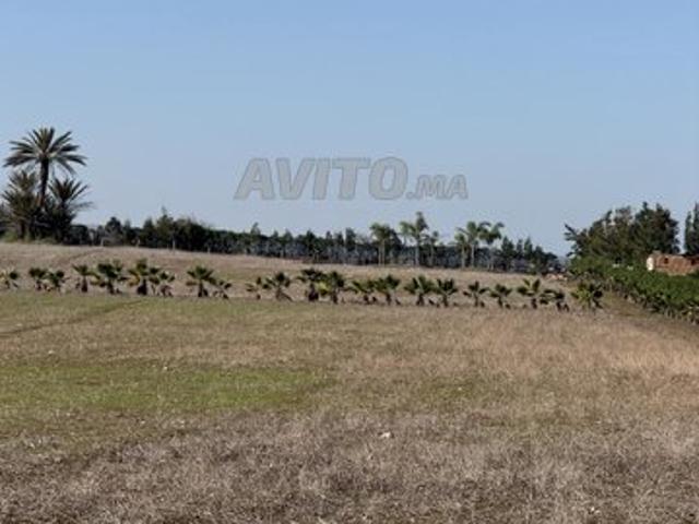 Propriété vente à El Ma, Gharb-Chrarda-Beni Hssen