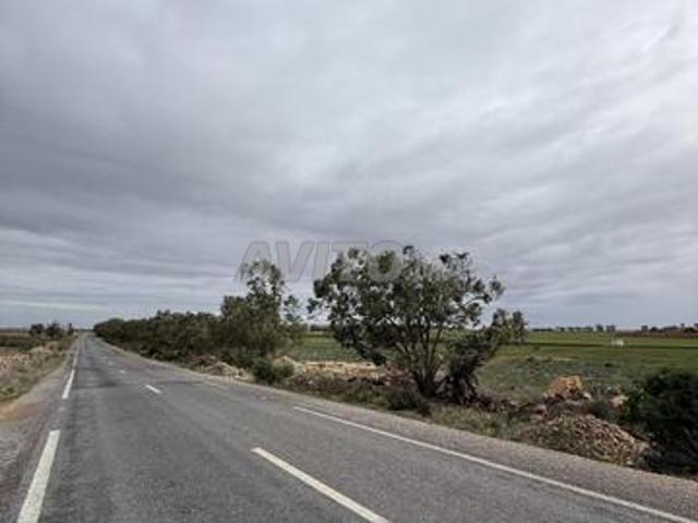 Propriété vente à El Ma, Gharb-Chrarda-Beni Hssen