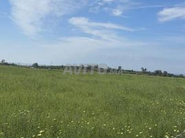 Propriété vente à El Ma, Gharb-Chrarda-Beni Hssen