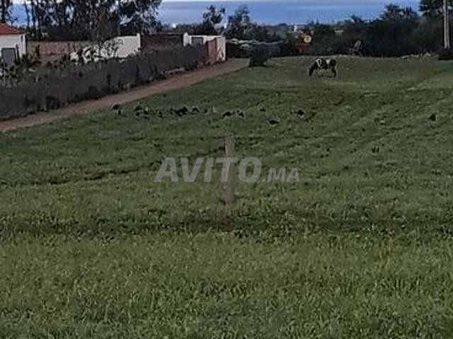 Propriété vente à Had Soualem, Gharb-Chrarda-Beni Hssen