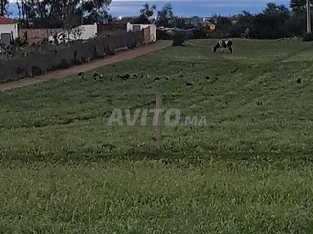 Propriété vente à Had Soualem, Gharb-Chrarda-Beni Hssen