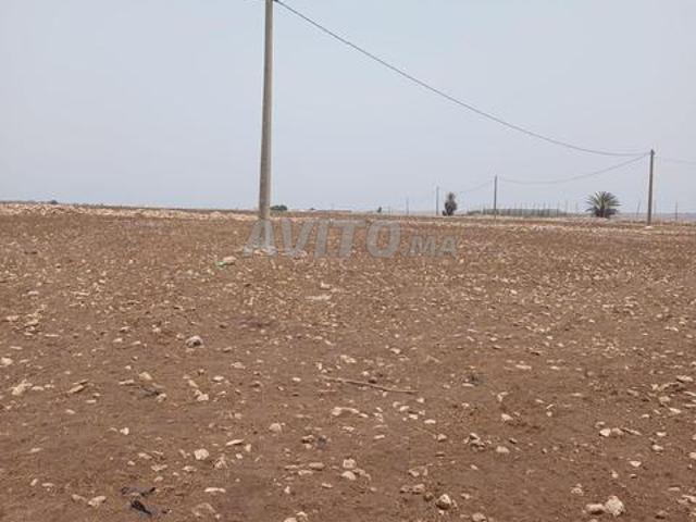 Propriété vente à El Ma, Gharb-Chrarda-Beni Hssen