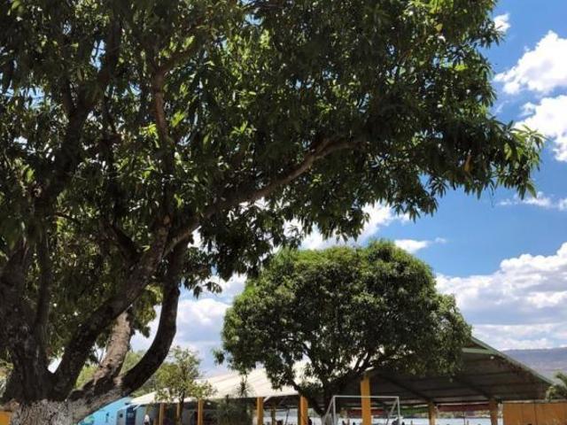 Hectárea perfecta para desarrollo ECOTURISTICO