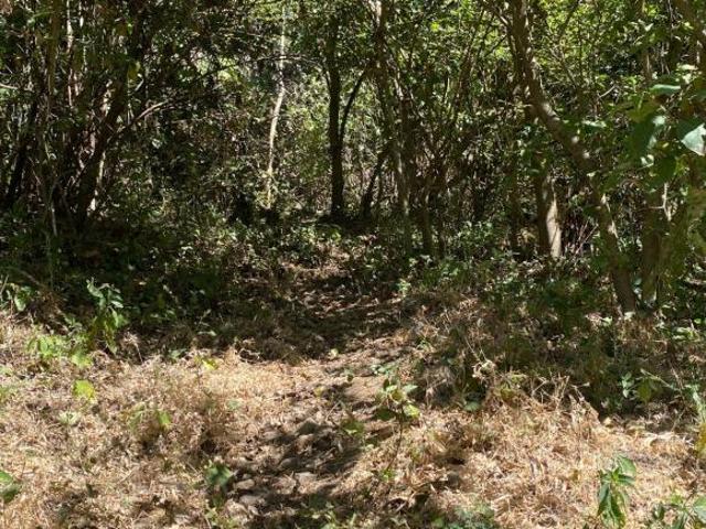 Terreno en venta en Comala, Colima