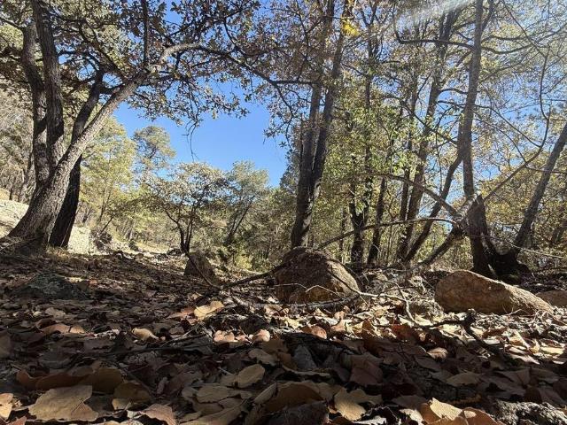 Terreno en venta en Villa Hidalgo, Jalisco
