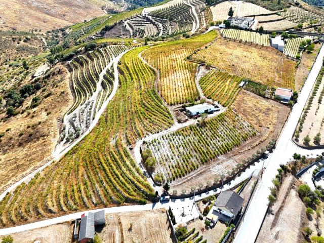 Terreno venda em Nagoselo Do Douro, Viseu
