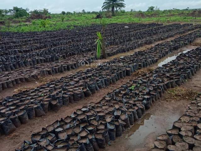 Commercial for sale in Ewekoro, Ogun