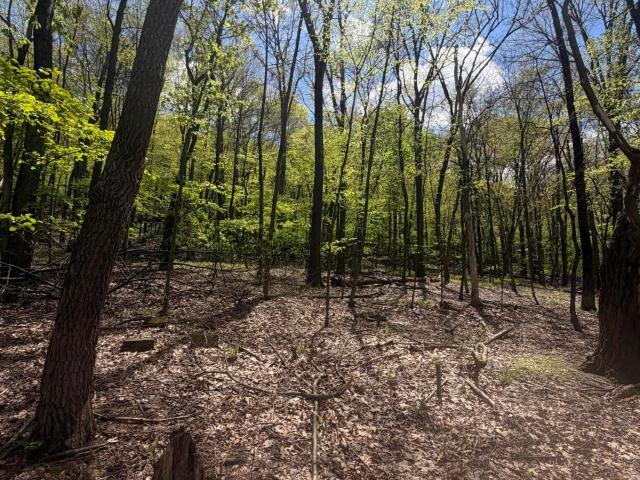Land for sale in Coal Township, Pennsylvania