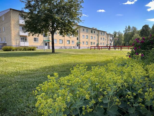 Lägenhet hyra i Bollnäs, Gävleborgs län