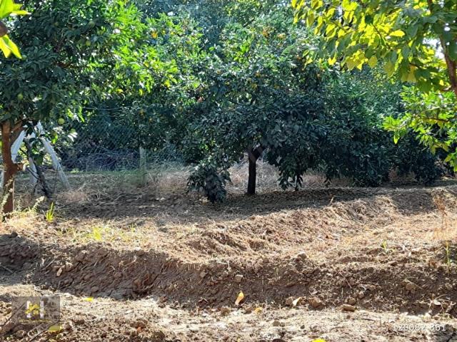 Havran, Balikesir içerisinde satılık mülk