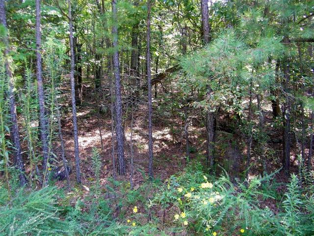 Land for sale in McCurtain County, Oklahoma
