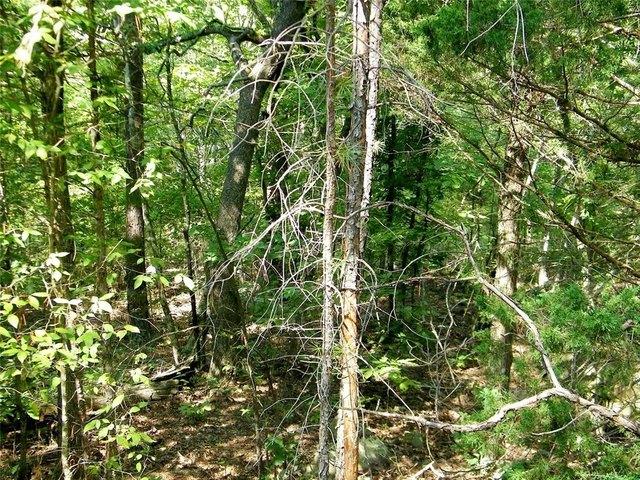 Land for sale in Smithville, McCurtain County