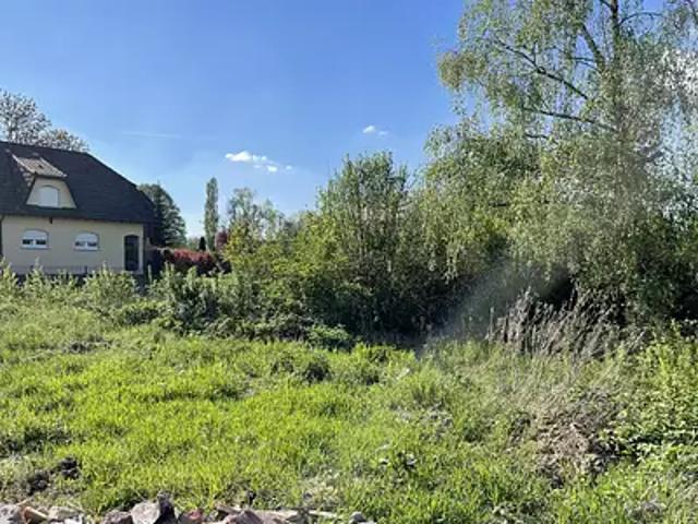 Terrain vente à Mulhouse, Hégenheim