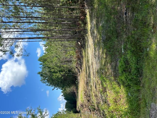 Land for sale in Gautier, Mississippi