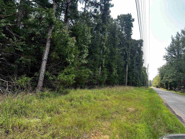 Land for sale in Tumbling Shoals, Cleburne County