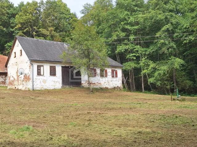 Haus kaufen in Heiligenkreuz im Lafnitztal, Burgenland