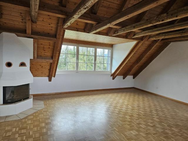Wohnung mieten in Grüningen, Zürich
