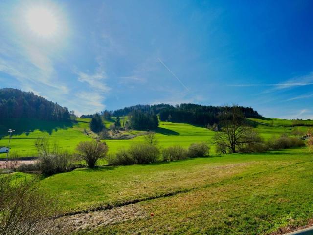 Apartment mieten in Kirchberg (SG), St. Gallen