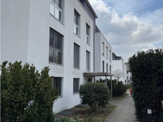 Apartment mieten in Zeiningen, Aargau