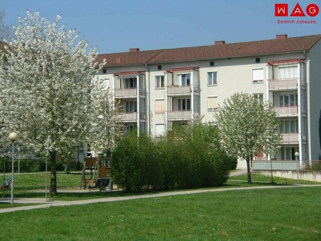 Apartment mieten in Reith, Leonding