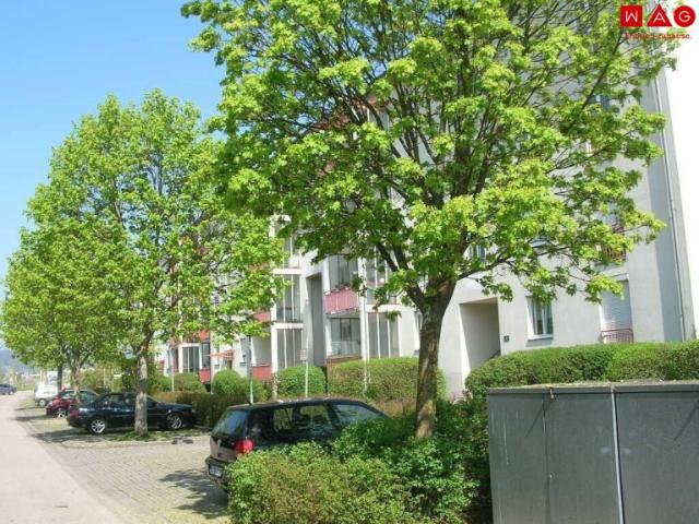 Wohnung kaufen in Reith, Leonding