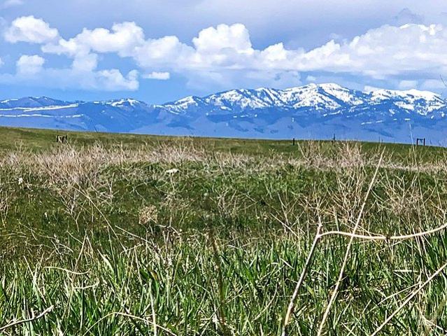 Land for sale in Indian Valley, Idaho