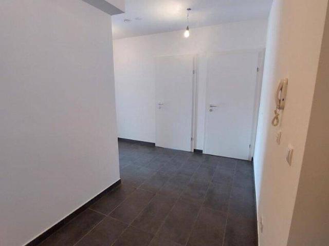 Apartment mieten in Drösing, Niederösterreich