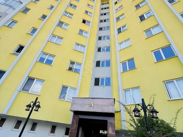 Ordu içerisinde kiralık mülk