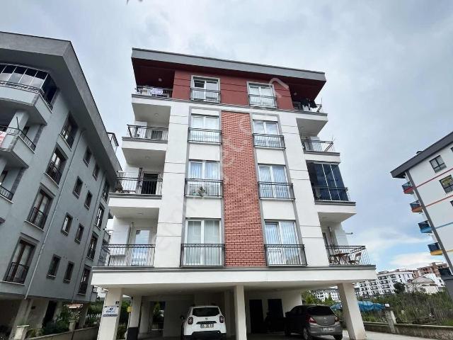 Ordu içerisinde kiralık mülk