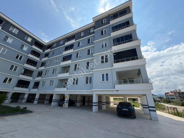 Ordu içerisinde kiralık mülk