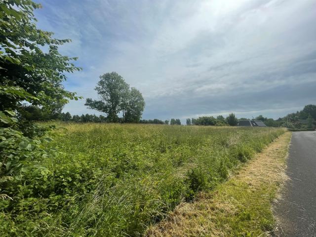 Ejendom til salg i Skellerup, Nyborg