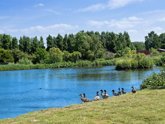 Ejendom til salg i Sakskøbing, Guldborgsund
